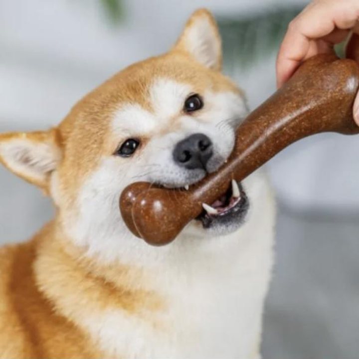 Oak Chew Bone